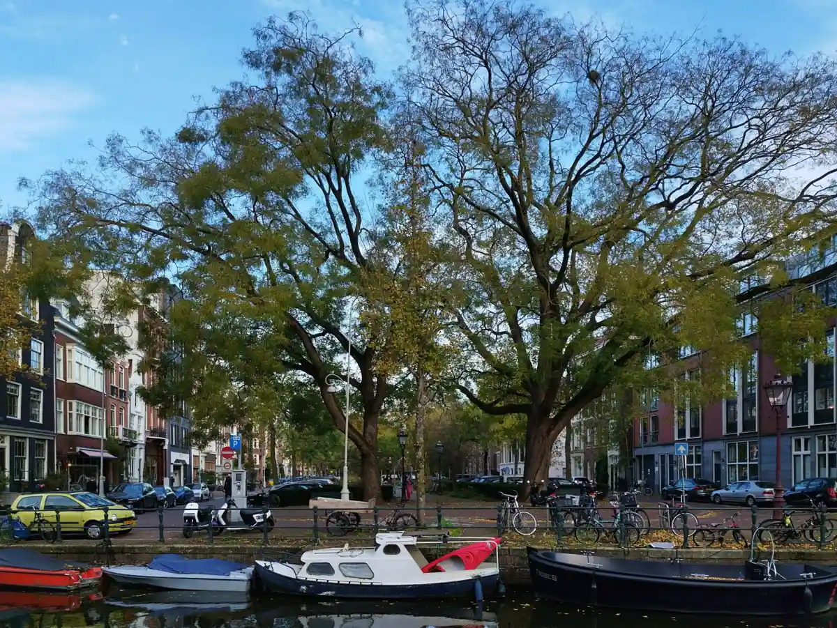 Oude gevels langs een gracht