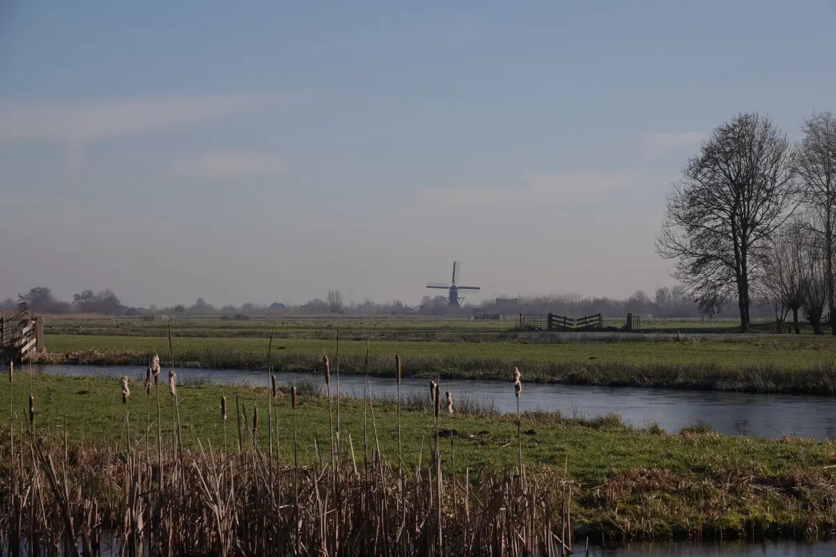 Polderlandschap met een sloot en weiland